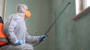 Best Residential Mold Inspection & Testing  in St David, AZ