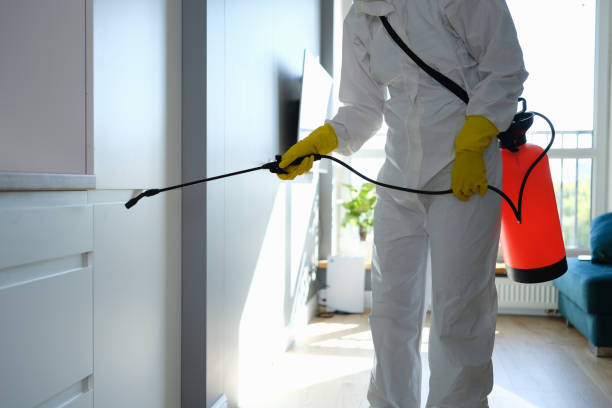 Best Biohazard Mold Removal  in St David, AZ