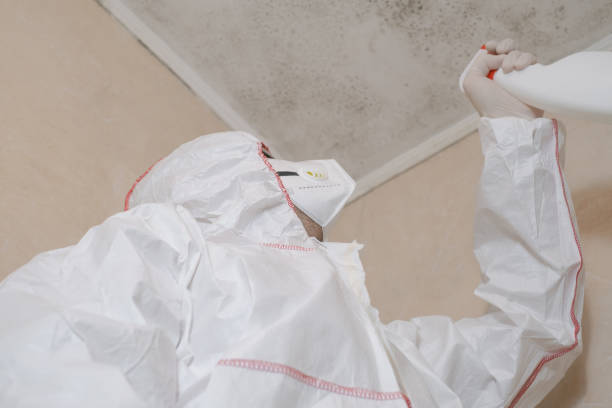 Best Forensic Mold Investigation  in St David, AZ